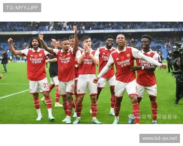 法国籍英超球员实力及影响力介绍